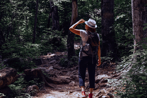 Nature walks inside Mount kenya forest